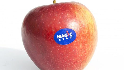 magic star